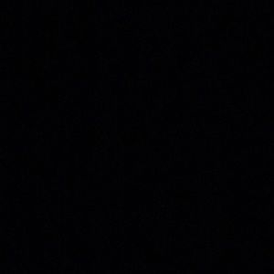 Meet your Posher, Alanis